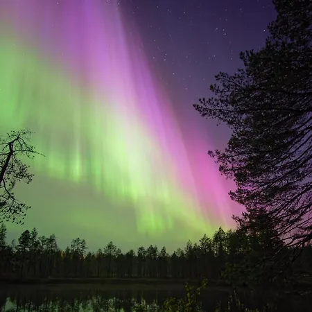 Nordic Snowlight 4 Bedrooms, Sauna, Wi-fi And Free Parking Villa Rovaniemi