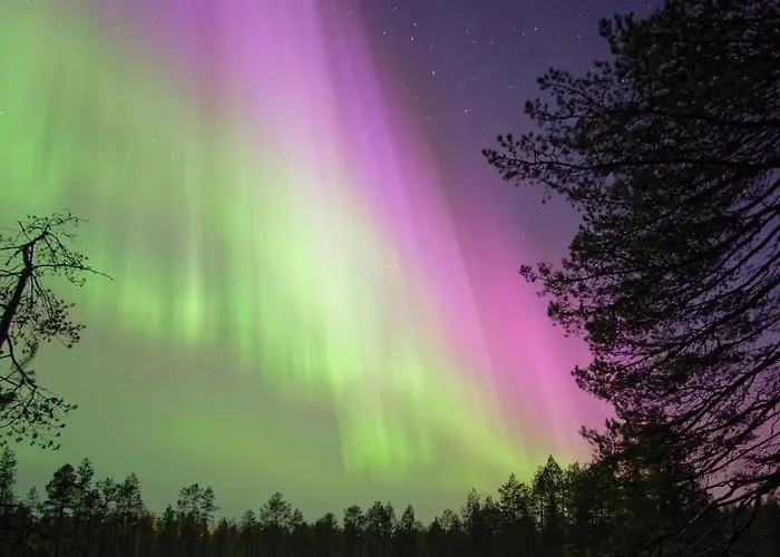 Nordic Snowlight 4 Bedrooms, Sauna, Wi-fi And Free Parking וילה רובניימי